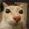 Eu_Th profil fotoğrafı