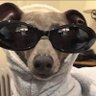 Profilbild von แอคเอส
