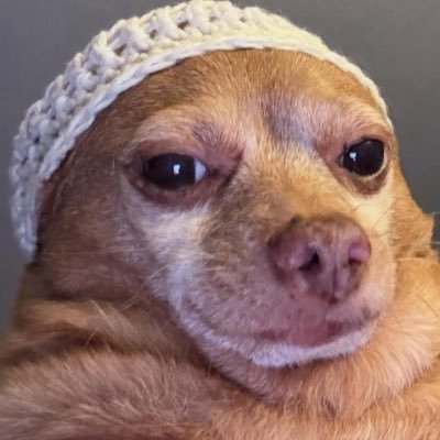 TheBiggestSnake🐉's profile picture