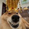 Фото профиля 李某人