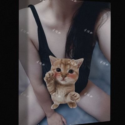 9ehceuhv8qMp1VD's profile picture