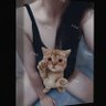 Фото профиля 壹陸淋