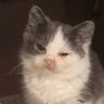 Katz's profile picture