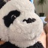 BennyBoi 的头像