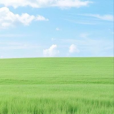 Kimzo🌧️'s profile picture