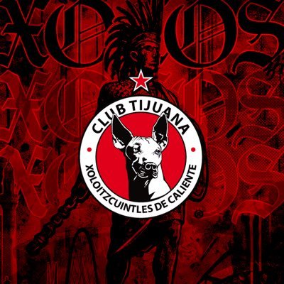Xolos's profile picture