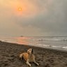 Godzilla's profile picture