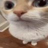 Russell 的头像