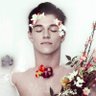 Bernardo Silveira's profile picture
