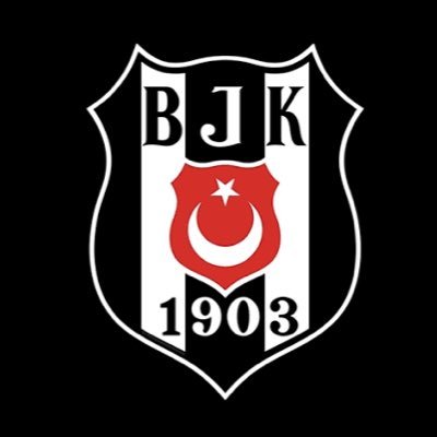 BEŞİKTAŞlıyız's profile picture