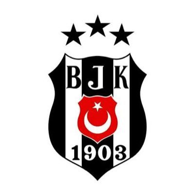 BEŞİKTAŞIN SESİ's profile picture