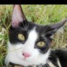 kira profil fotoğrafı