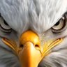 Profilbild von Nicê Xave 🇧🇷🗽🇺🇸