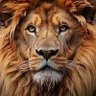 waldir santos's profile picture