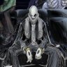 Saleos_ 的头像
