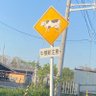 Фото профиля ひげちん🍛
