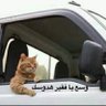 اتفق 的头像