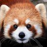 田吾作 profil fotoğrafı