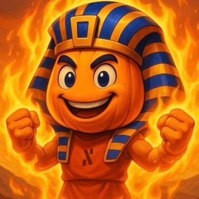 myonion.fun 🧅's profile picture