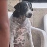 Jacque profil fotoğrafı