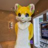レモン profil fotoğrafı