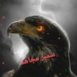 سمیر مجاهد's profile picture