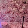 あいり 的头像