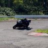 世界の迷王 グロゴリ 的头像