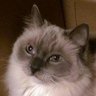 Prude's profile picture