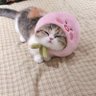 ณิสา วงกรณ์ 的头像
