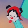 Wakko profil fotoğrafı