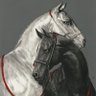 🐎🌊 的头像