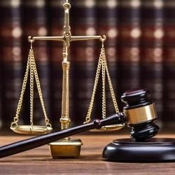 The Lawyer Bets's profile picture