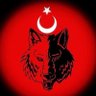Фото профиля Işıl Karaman