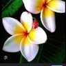 Фото профиля Jim