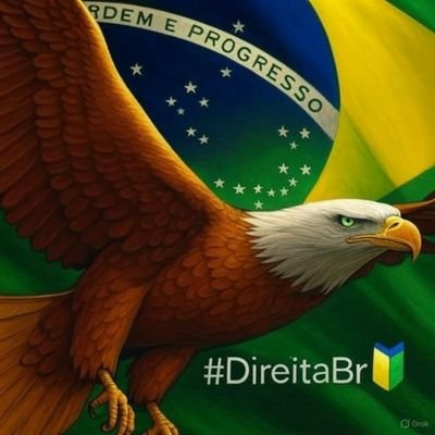 DireitaBrasilia's profile picture