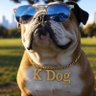 Фото профиля K Dog