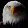 Proud Trump Supporter 🇺🇸 profil fotoğrafı
