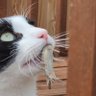 Missy makeamessy profil fotoğrafı
