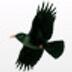 martin_fff's profile picture