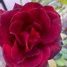 Фото профиля some one