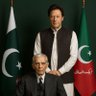 Saeed Shafique's profile picture