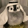 ユエ's profile picture