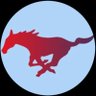 Tampa Mustangs - Gerovac 的头像