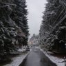 Фото профиля Rustam