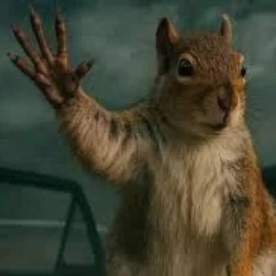 Icewood's profile picture