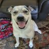 ori69's profile picture