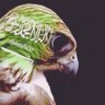 fakeihco 🇸🇦 的头像