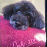 かんちゃん profil fotoğrafı