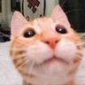 Ooooooo profil fotoğrafı
